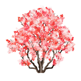 春天浪漫粉红色樱花手绘樱花梅花桃花花朵图片PNG免扣素材