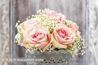 粉色玫瑰花束图片