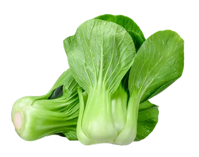 上海青 (10)超市商品白底图免抠实物摄影png格式图片透明底