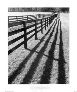 木栅栏草地黑白风景画