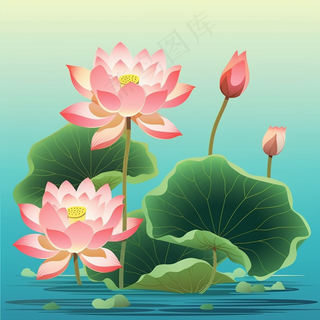 荷花莲花荷叶盛开卡通插画