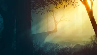 洒进森林的光束和坐在树杈上读书的人高清图片