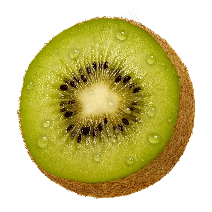 猕猴桃免抠素材 (22)