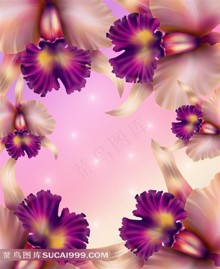 精美鲜花艺术相框图片