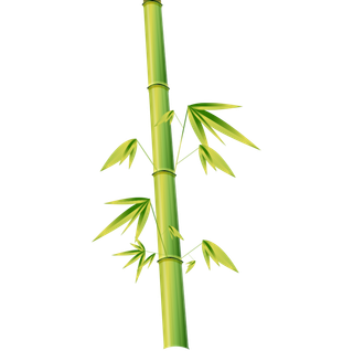 竹子水墨画中国风国画墨水书法竹子画