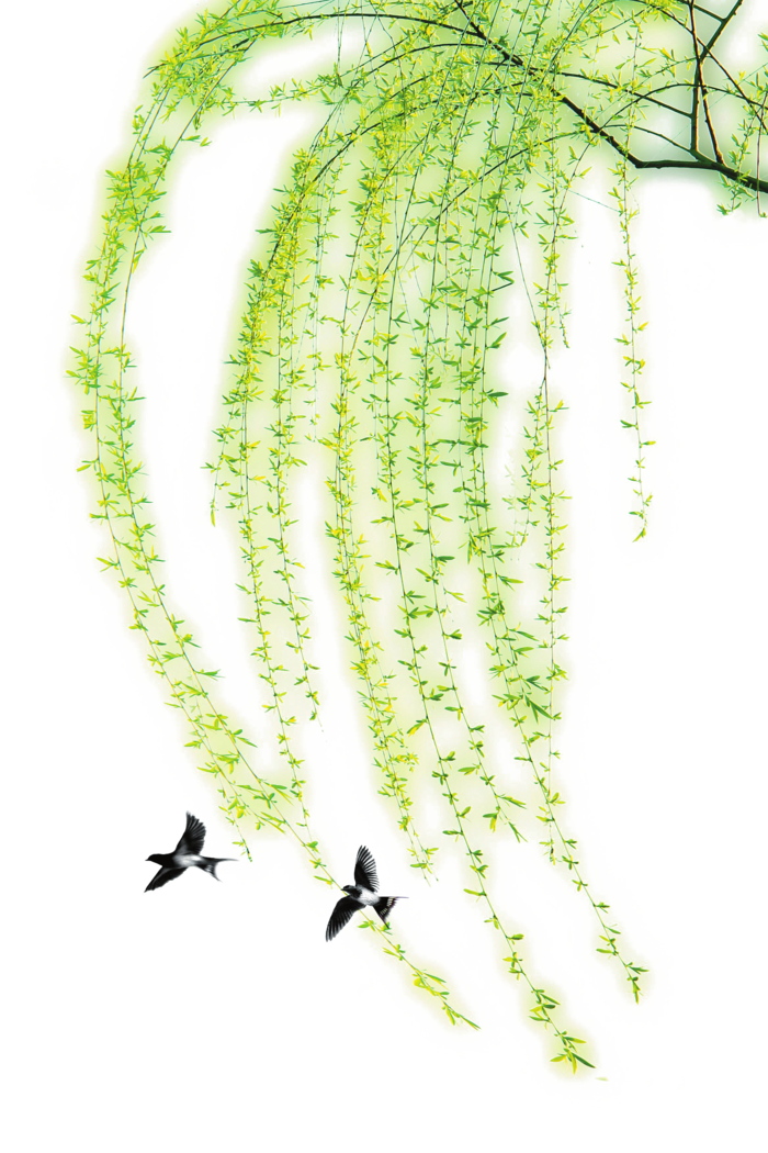 春天绿色春季水墨柳树柳条柳叶春季海报设计PNG免扣素材