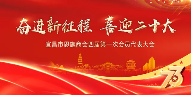 红色党建二十大宣传展板