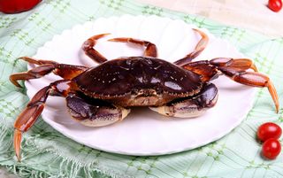 47  珍宝蟹-阳滩鱼港(2006)