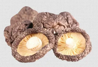 蘑菇干免扣素材