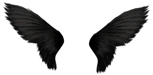 翅膀 PNG免抠(1815x894)