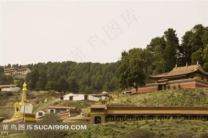 山林中的寺院
