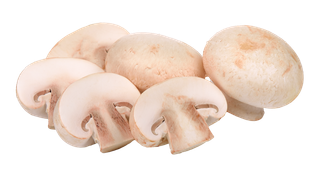 蘑菇 (17)超市商品白底图免抠实物摄影png格式图片透明底