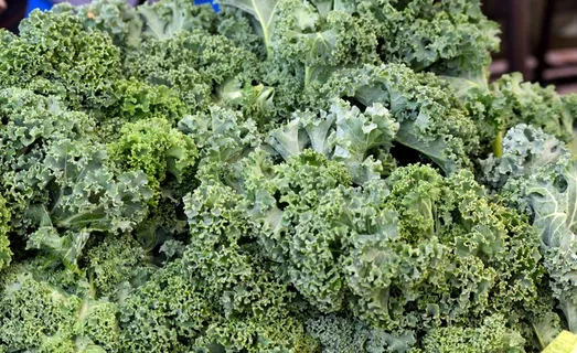 绿色有机蔬菜图片 绿色有机蔬菜图片