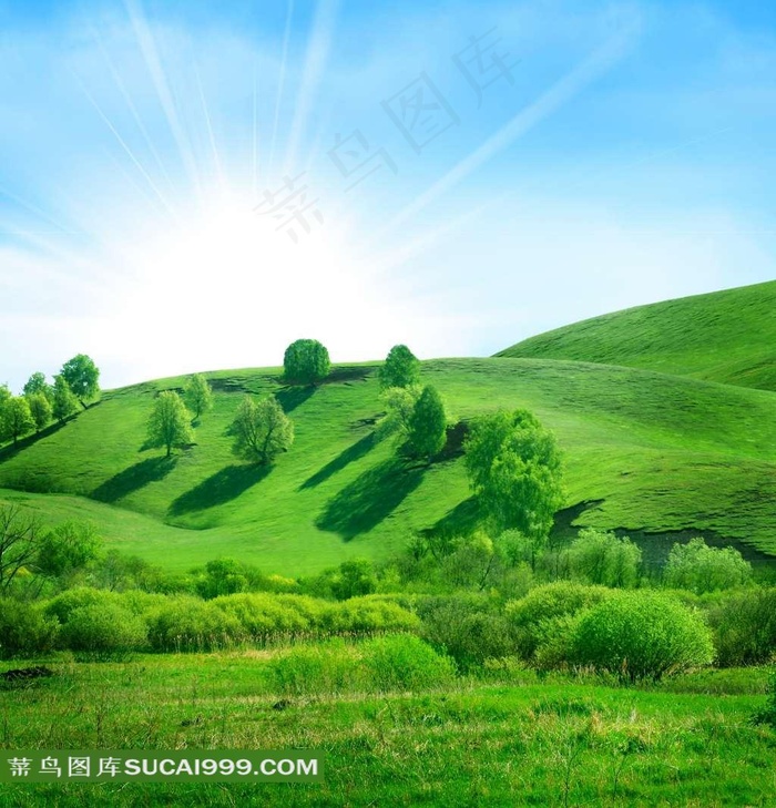 阳光草原素材图片