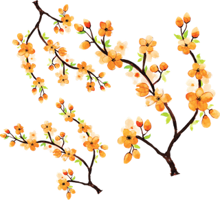 橘色水彩花朵素材图片