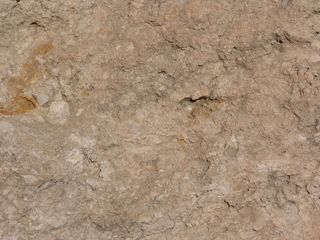 高清石纹背景图片