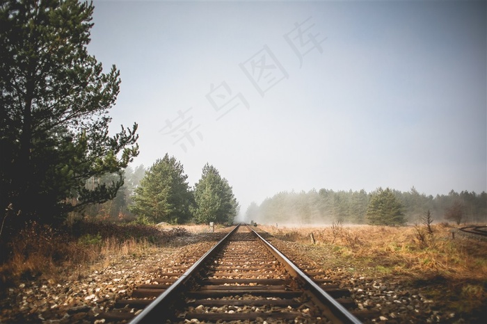 人生的旅途中