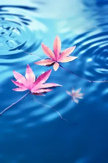 掉落水面的枫叶背景