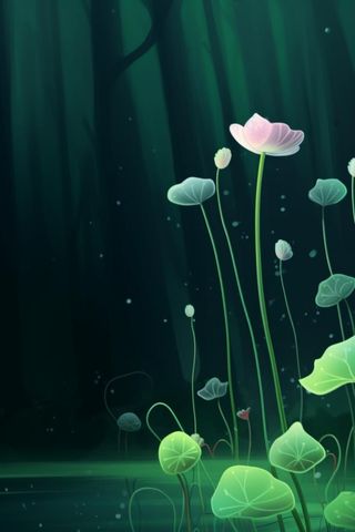 国风夜晚荷花荷叶大气背景