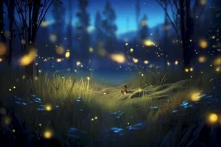 夜晚萤火虫草丛背景