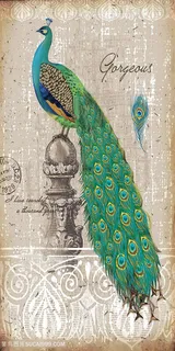 古典孔雀装饰画