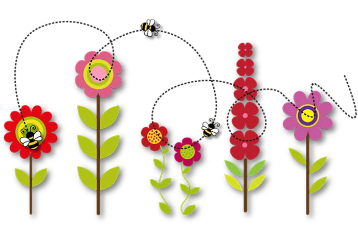 花朵植物现代农业