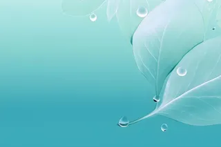 树叶露珠青色大气意境背景
