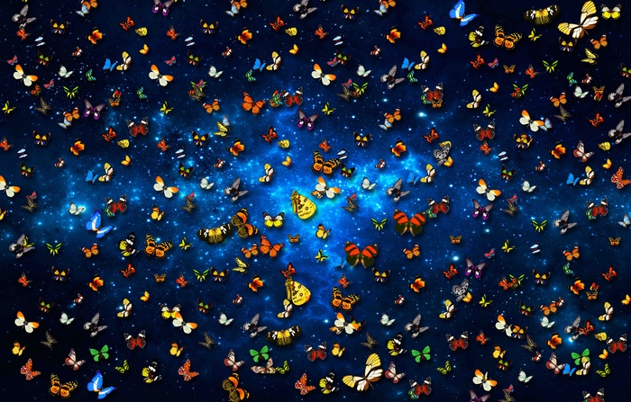 蝴蝶背景墙吊顶