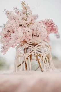 粉色唯美水培花朵图片 粉色唯美水培花朵图片