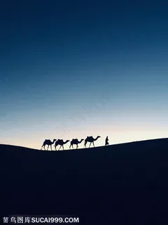 即将日出沙漠中行走的骆驼沙漠图片 即将日出沙漠中行走的骆驼沙漠图片