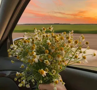 橘色落日车窗风景图