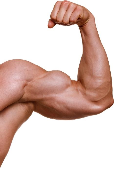 肌肉手 PNG免抠(467x691)