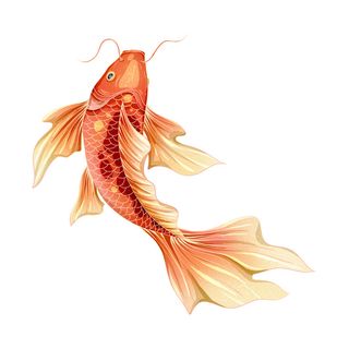 手绘烫金国潮中国风卡通锦鲤鱼金鱼插画装饰元素PSD设计素材