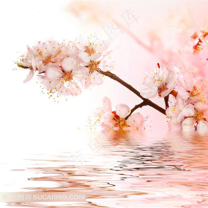 高清水中花图