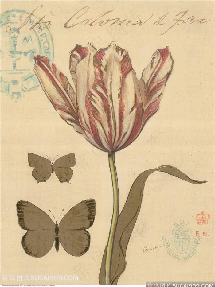 欧式花与蝴蝶装饰画