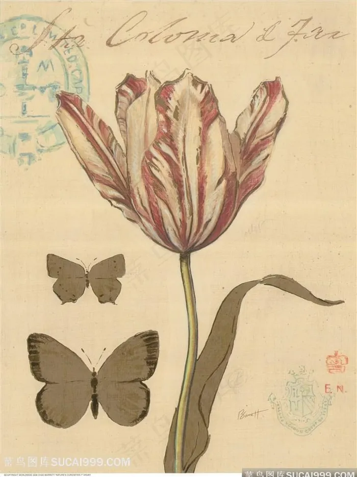 欧式花与蝴蝶装饰画