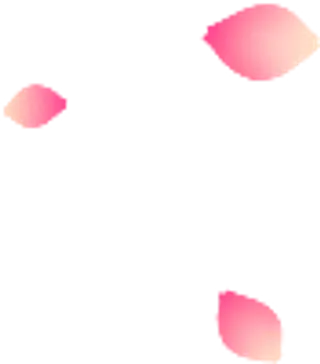 花瓣花朵免扣图片 