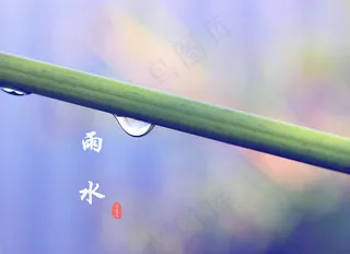 二十四节气雨水图片