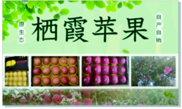 绿色小清新苹果海报展板