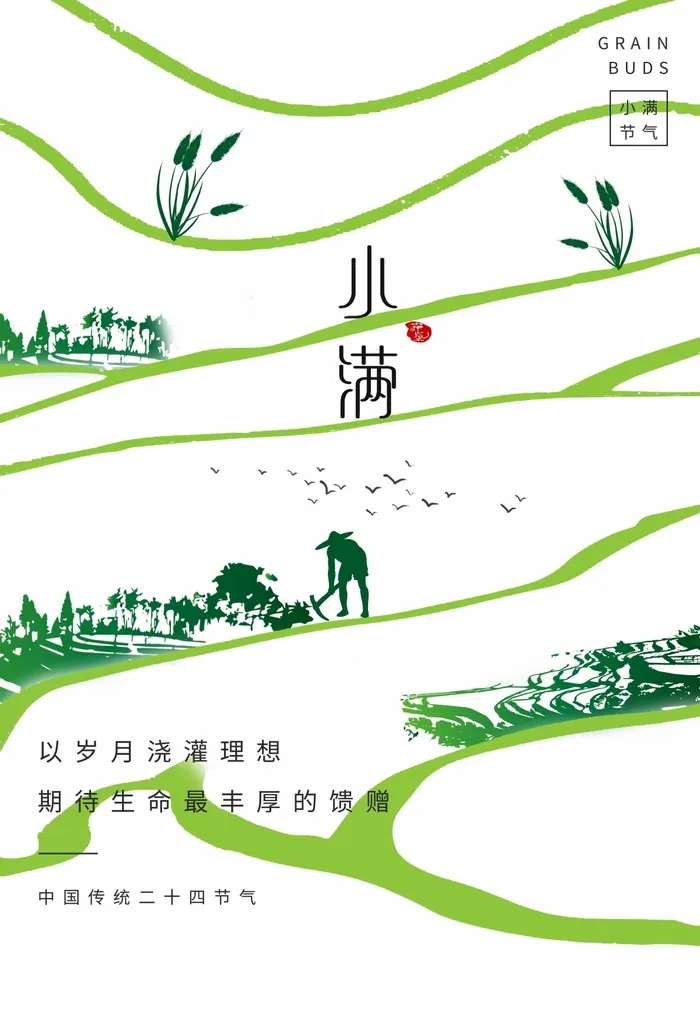 小满 小满宣传海报psd模版下载