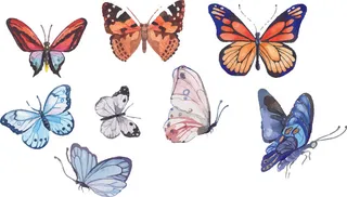 简约风春天蝴蝶昆虫元素插画