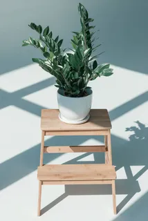 北欧简约绿植盆栽场景(11)