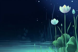 国风夜晚荷花荷叶大气背景