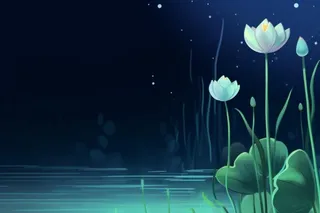 国风夜晚荷花荷叶大气背景