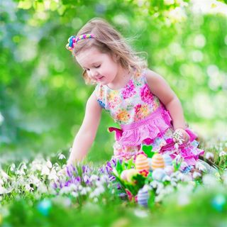 美丽花朵和女孩