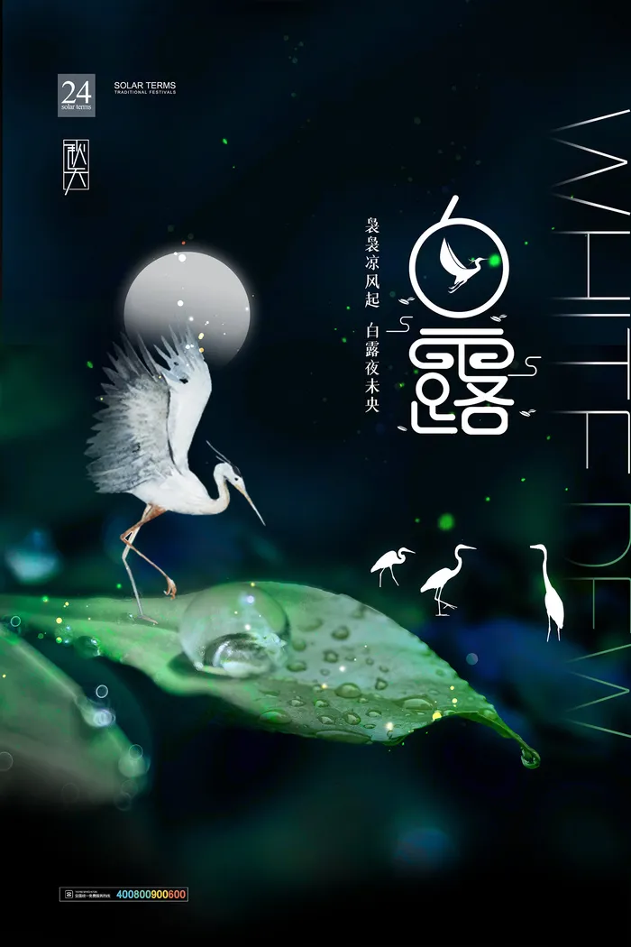 时尚创意二十四节气白露节海报psd模版下载
