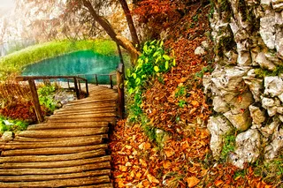 高清木桥风景图片下载