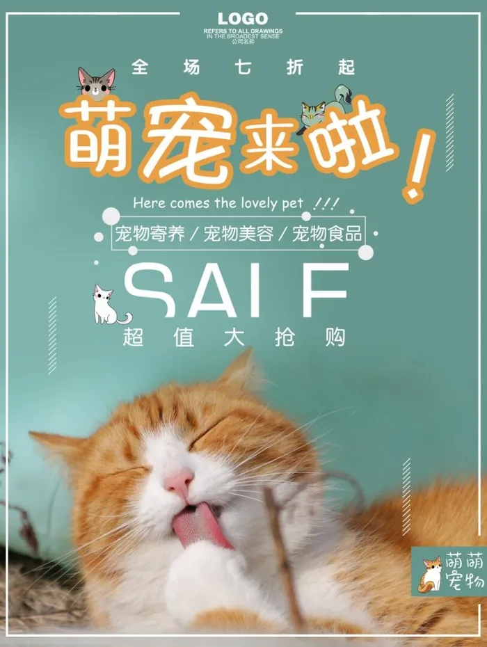 宠物店宣传海报图片