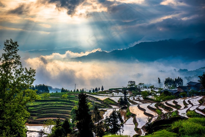 阳光投射下的梯田