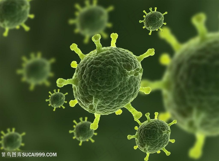 细菌超级细菌病毒